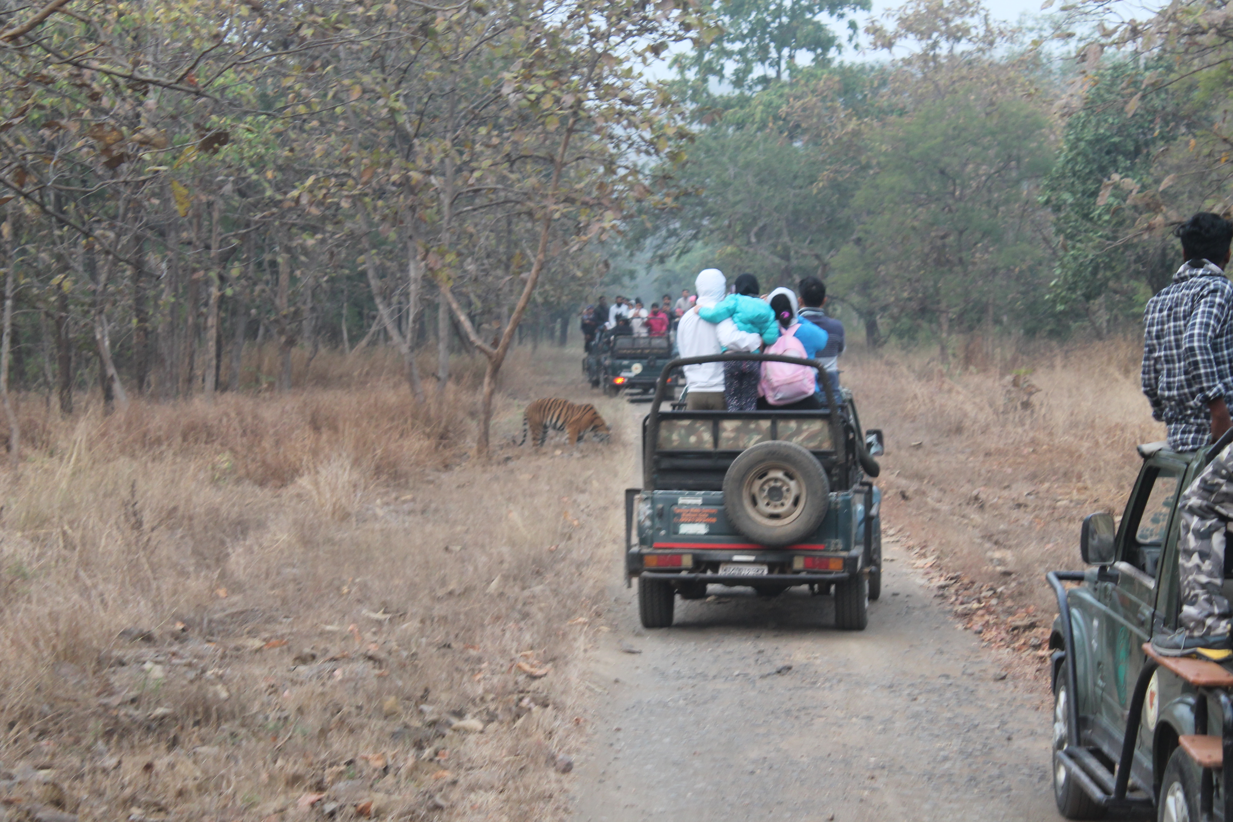 Trip to Tipeshwar Wildlife Sanctuary